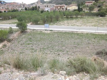 Terreno residenziale in vendita a Vallbona de Les Monges
