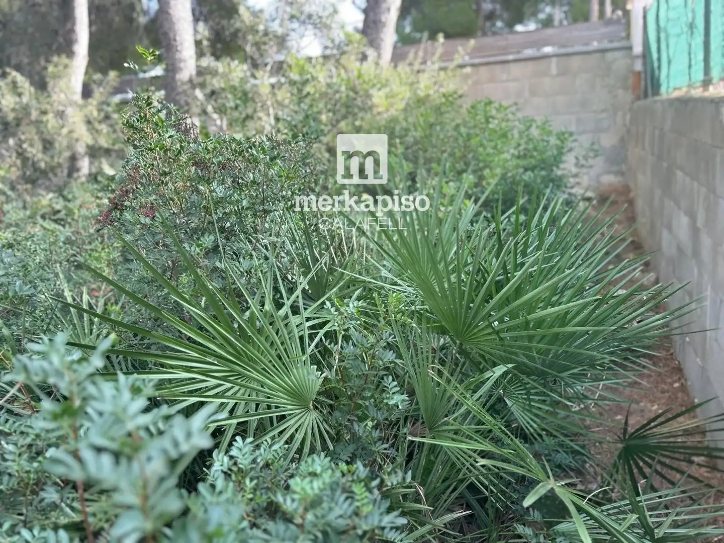 Rural land for sale in Segur de Calafell, imagen 17