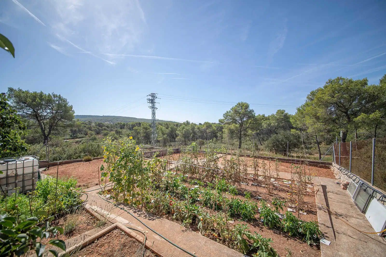 Haus mit Garten zum Verkauf in Carrer Sant Isidre, imagen 21