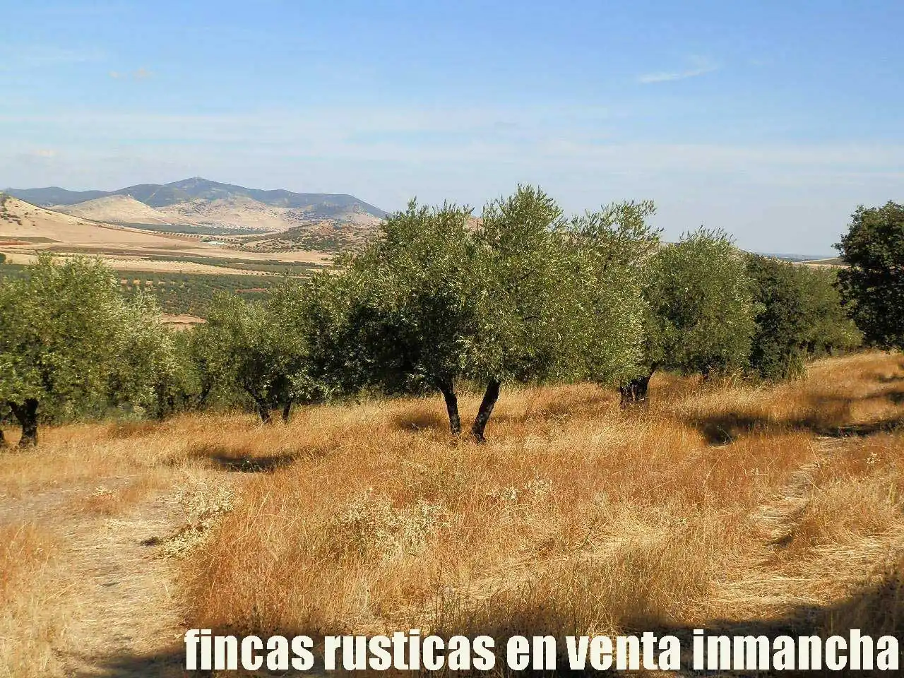 Terreny rústic en venda a Fuente el Fresno, imagen 11
