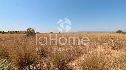 Foto 5 de Terreny industrial en venda a Urbanizaciones, Llíria