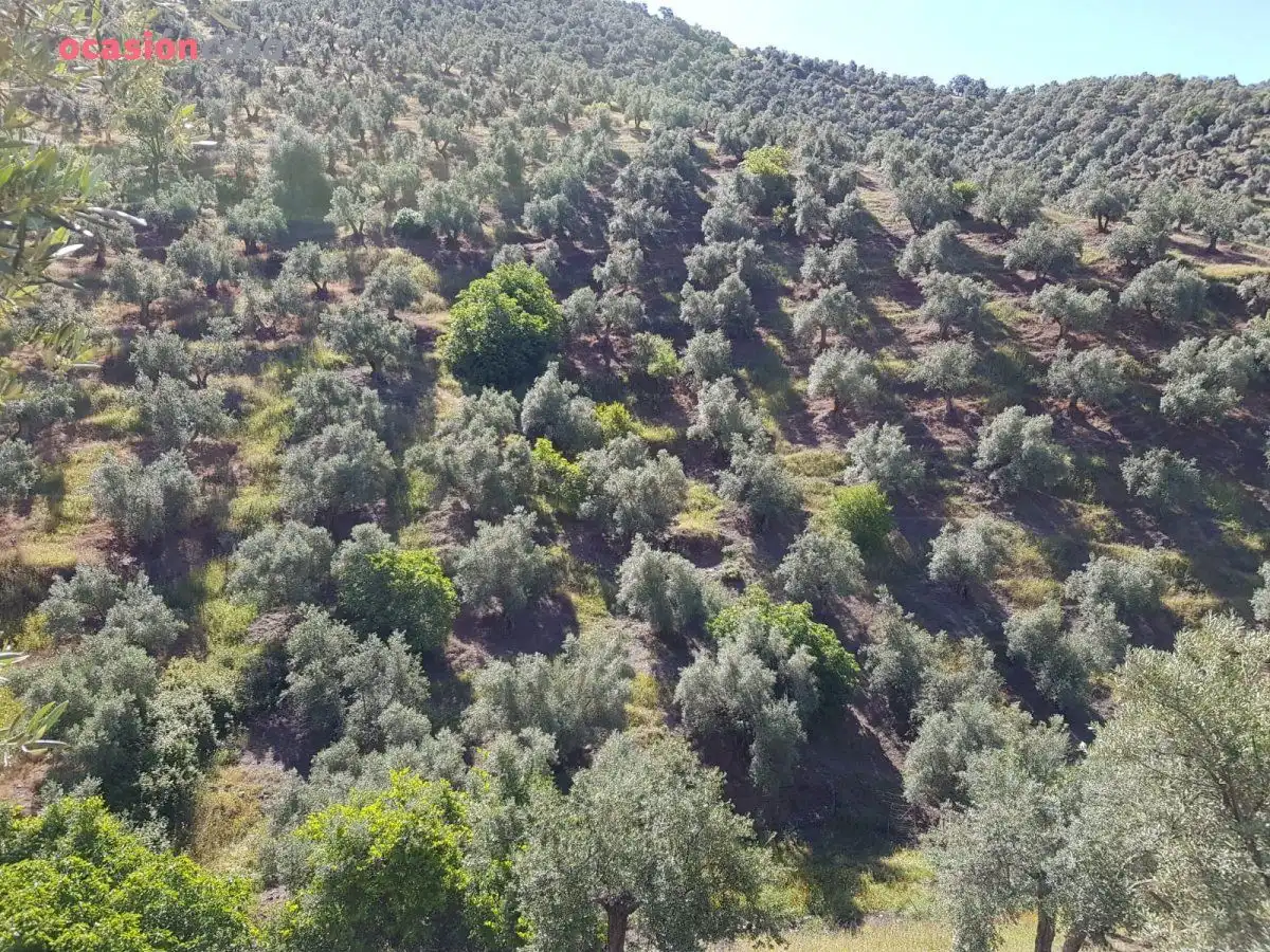 Finca rústica en venta en Villanueva de Córdoba con Jardín privado, Trastero y Amueblado