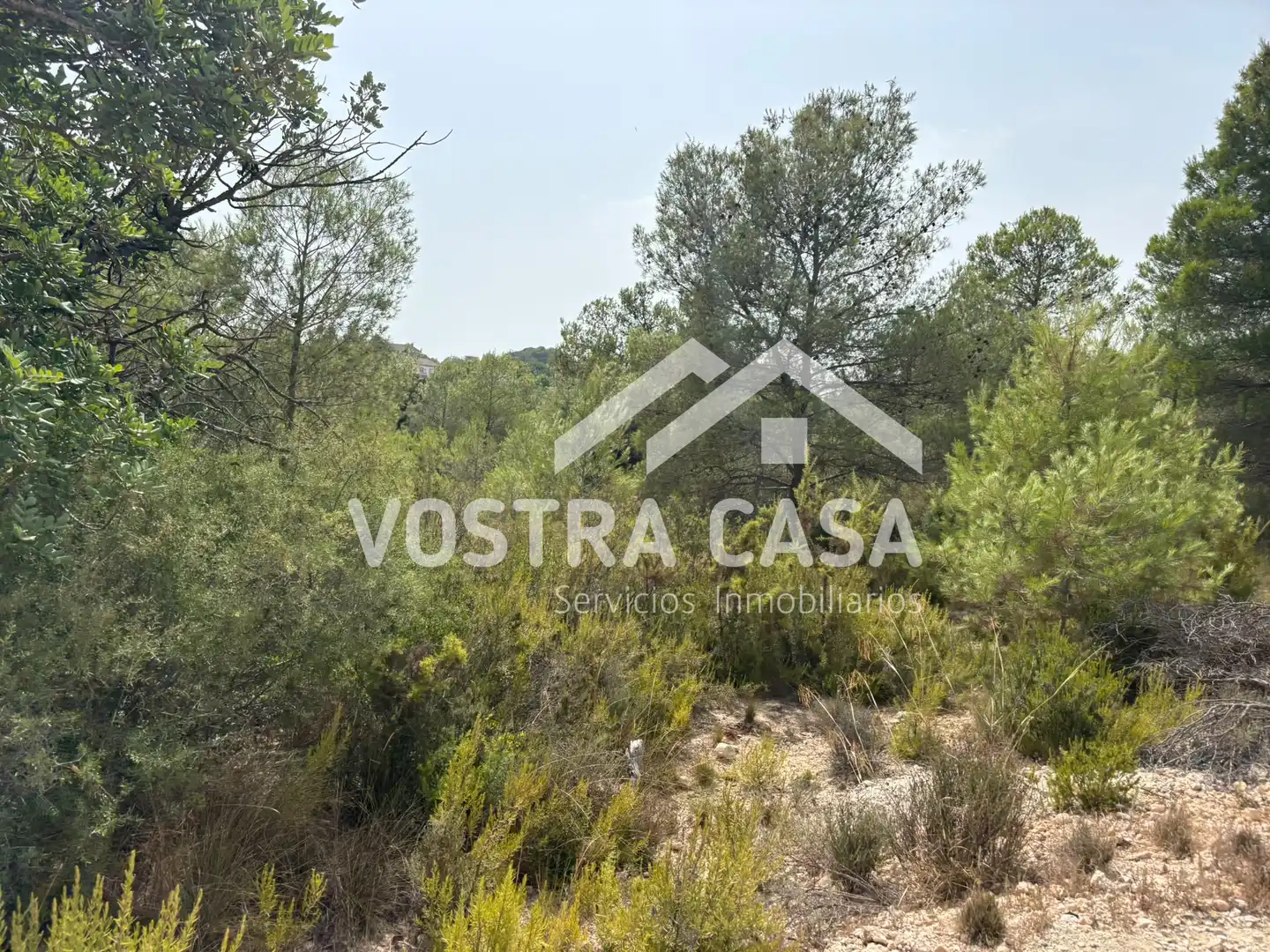 Terreno en venta en Chiva