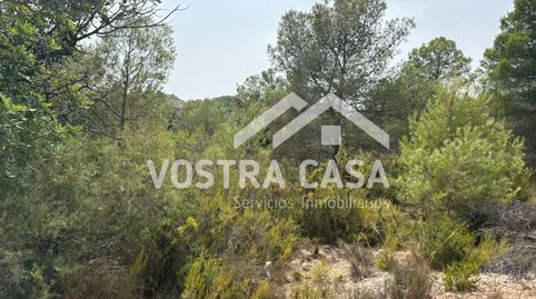 Foto 5 de Terreny en venda a Veintisiete, -1, Los Felipes - Corral de Carmelo, Chiva