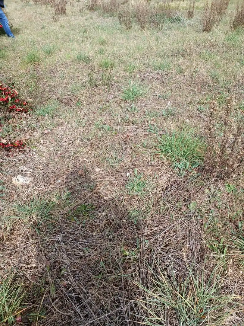 Wohnbaugrundstück zum Verkauf in Sant Celoni, imagen 9