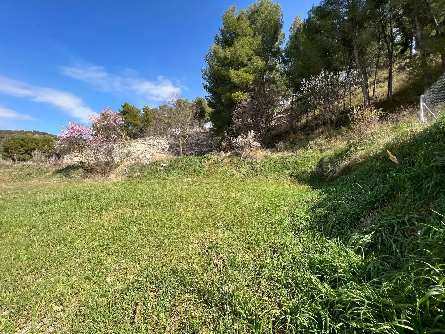 Terreny residencial en venda a Biar, imagen 16