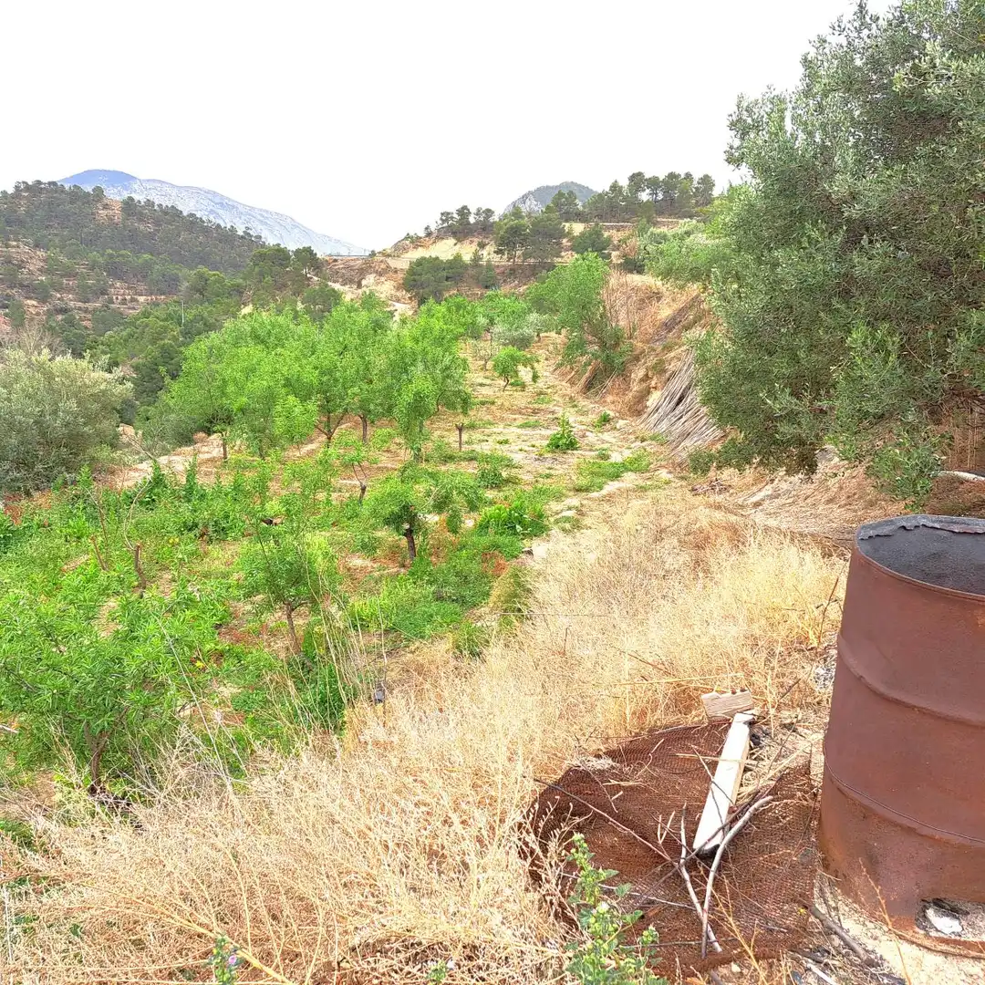 Finca rústica en venta en Sella