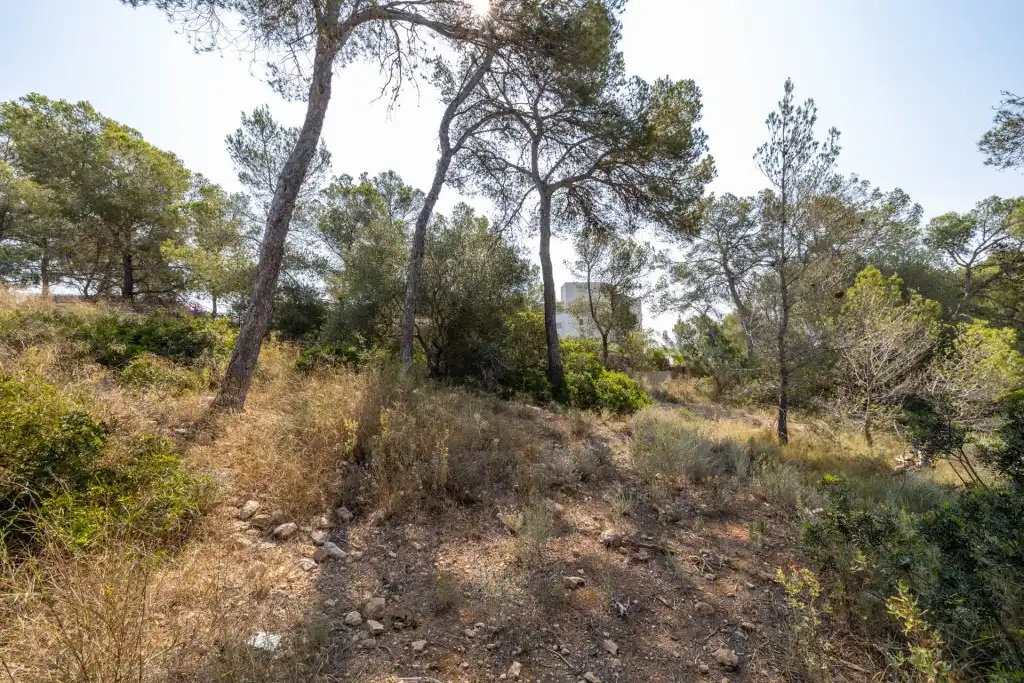 Rural land for sale in Cala Vinyes, imagen 7