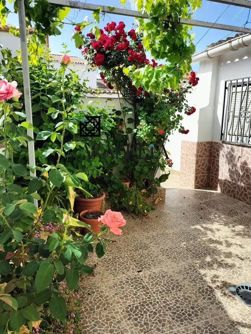 Jardín de Casa o chalet en venta en Fuente Obejuna con Trastero