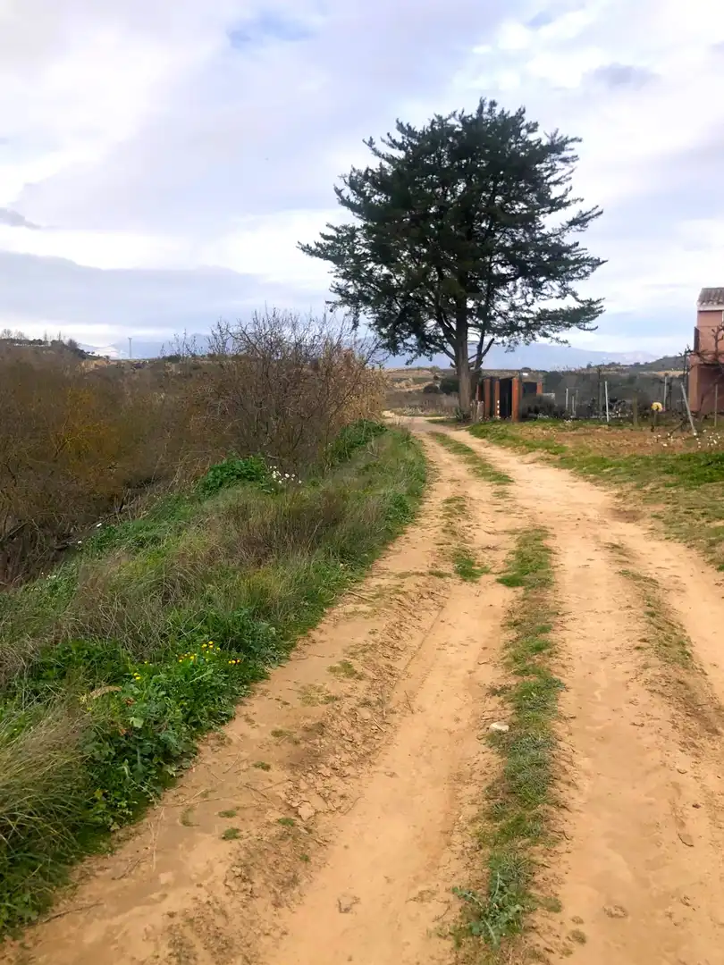 Rustikales Grundstück zum Verkauf in El Cortijo, imagen 23