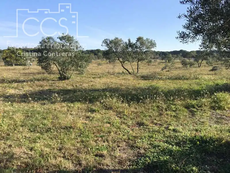 Finca rústica en venta en Almonte