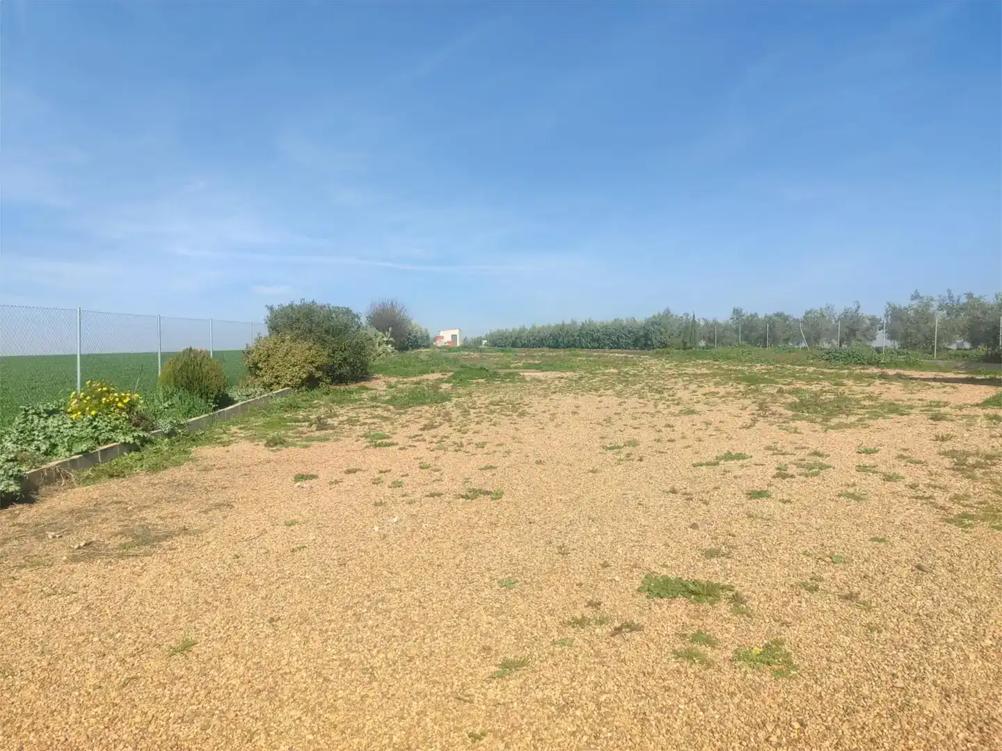 Land for sale in Guareña