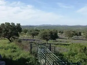 Terreni e lotti in vendita a Norte, imagen 34