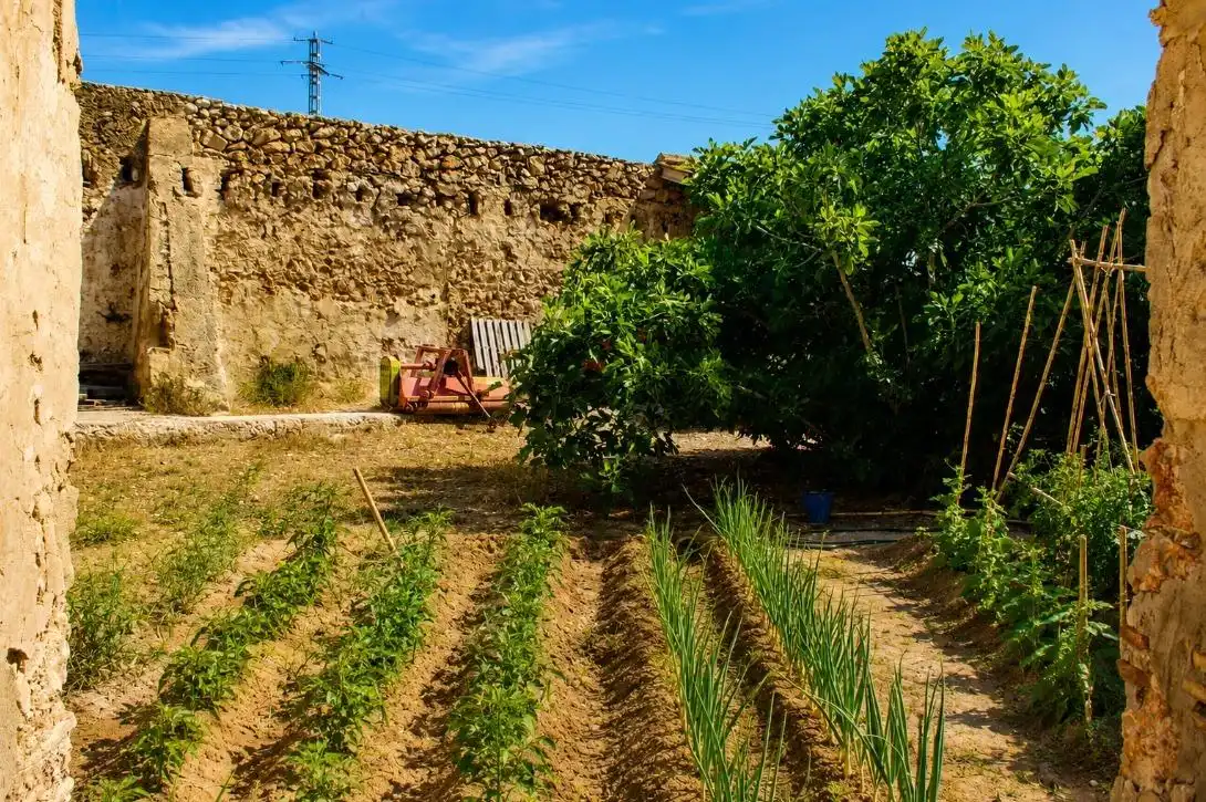 Jardín de Finca rústica en venta en Oliva
