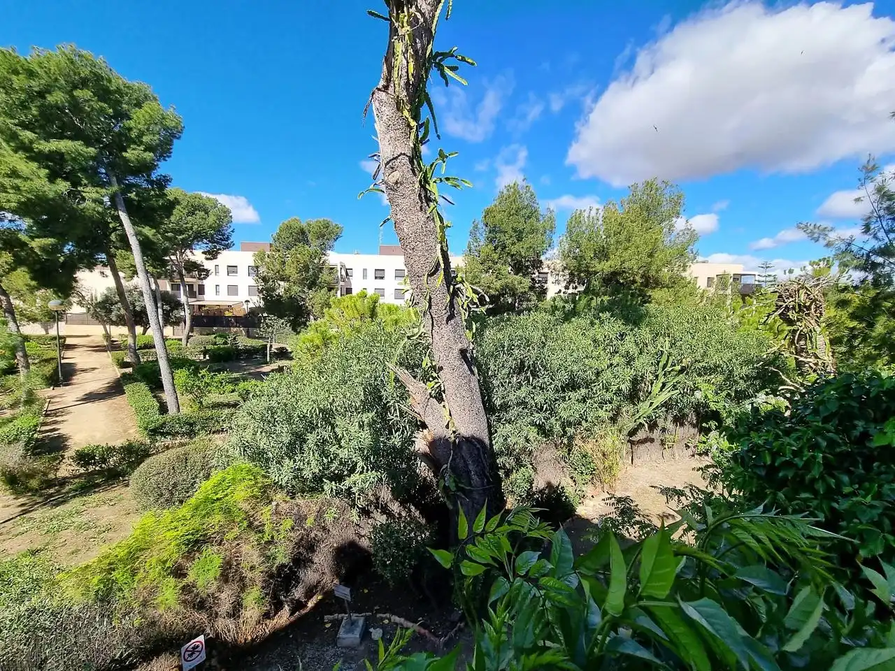 Garten von Gebäude zum Verkauf in Sant Joan d'Alacant