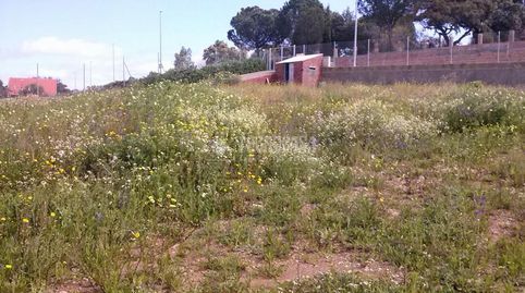 Terrenos en venta en Sanlúcar la mayor, imatge 4