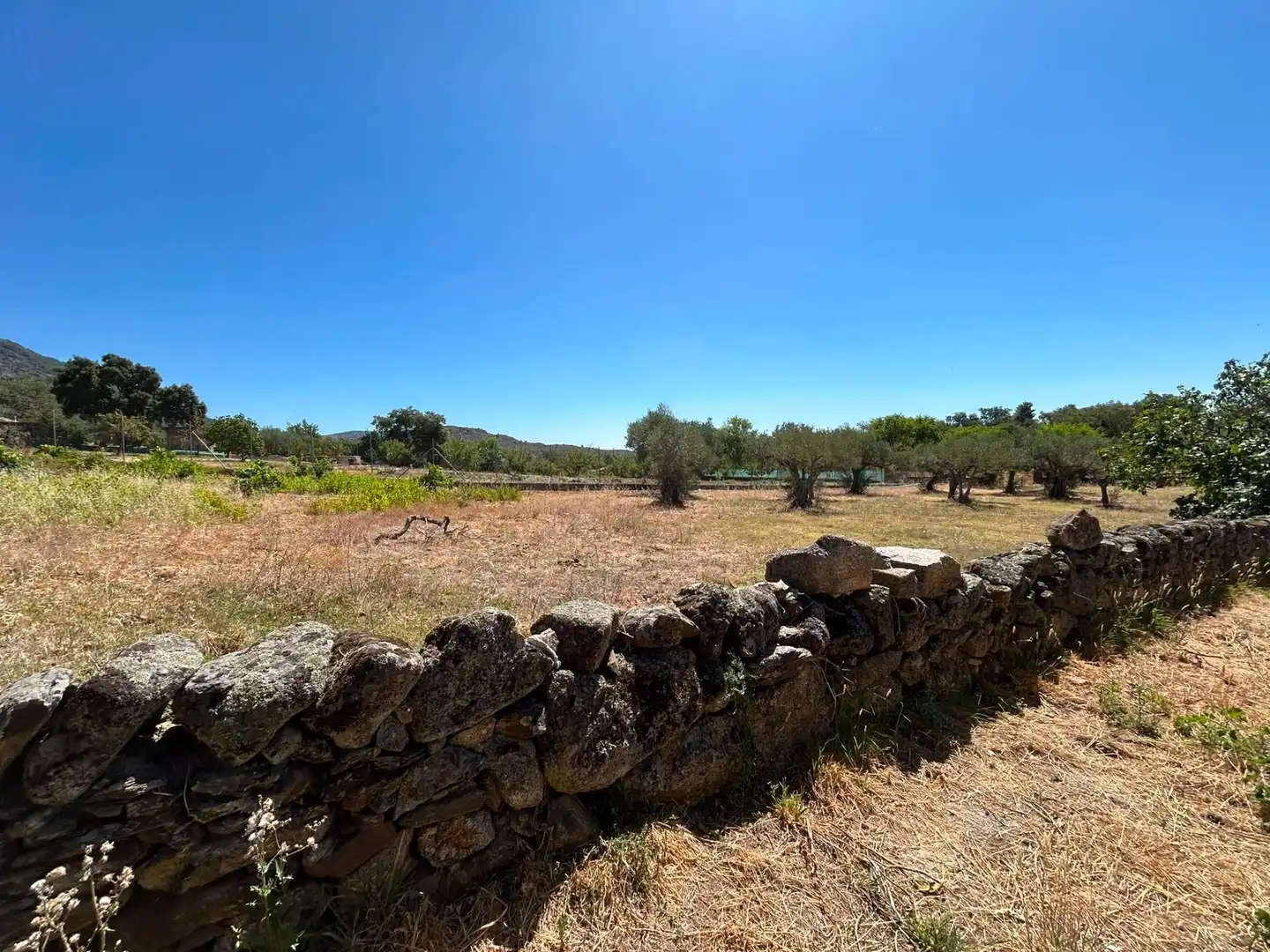 Terreni e lotti in vendita a Cilleros, imagen 6