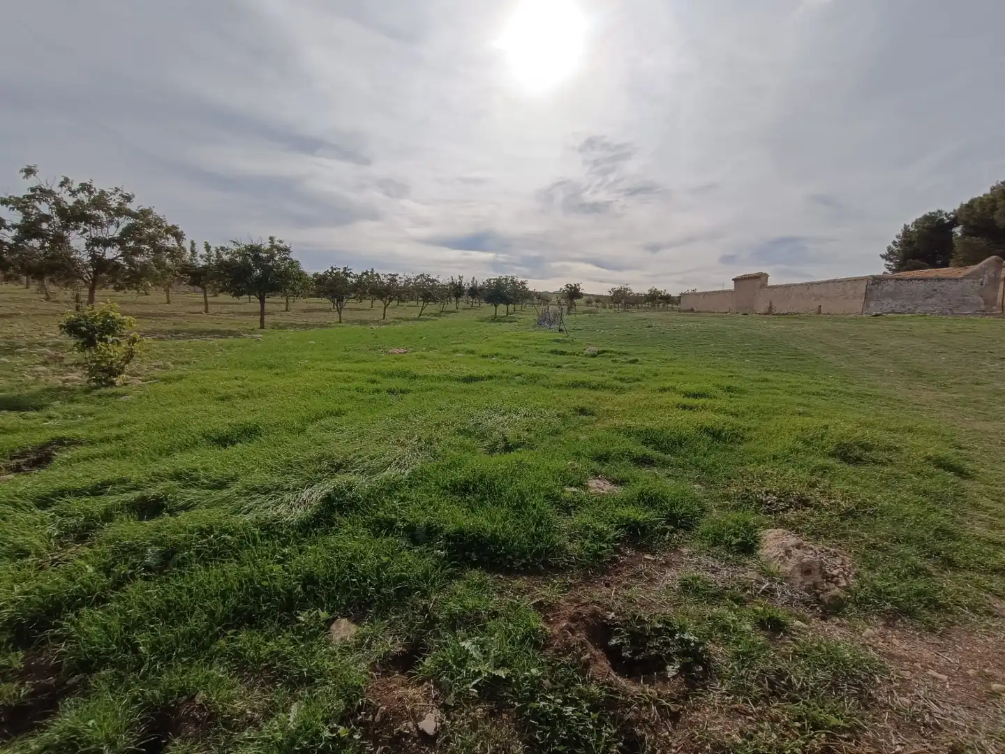 Terreno rustico in vendita a N/A, imagen 14