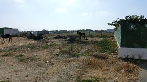 Foto 3 de Residencial en venta en Calle Américo Vespucio, 9, Avenida de Rota, Chipiona