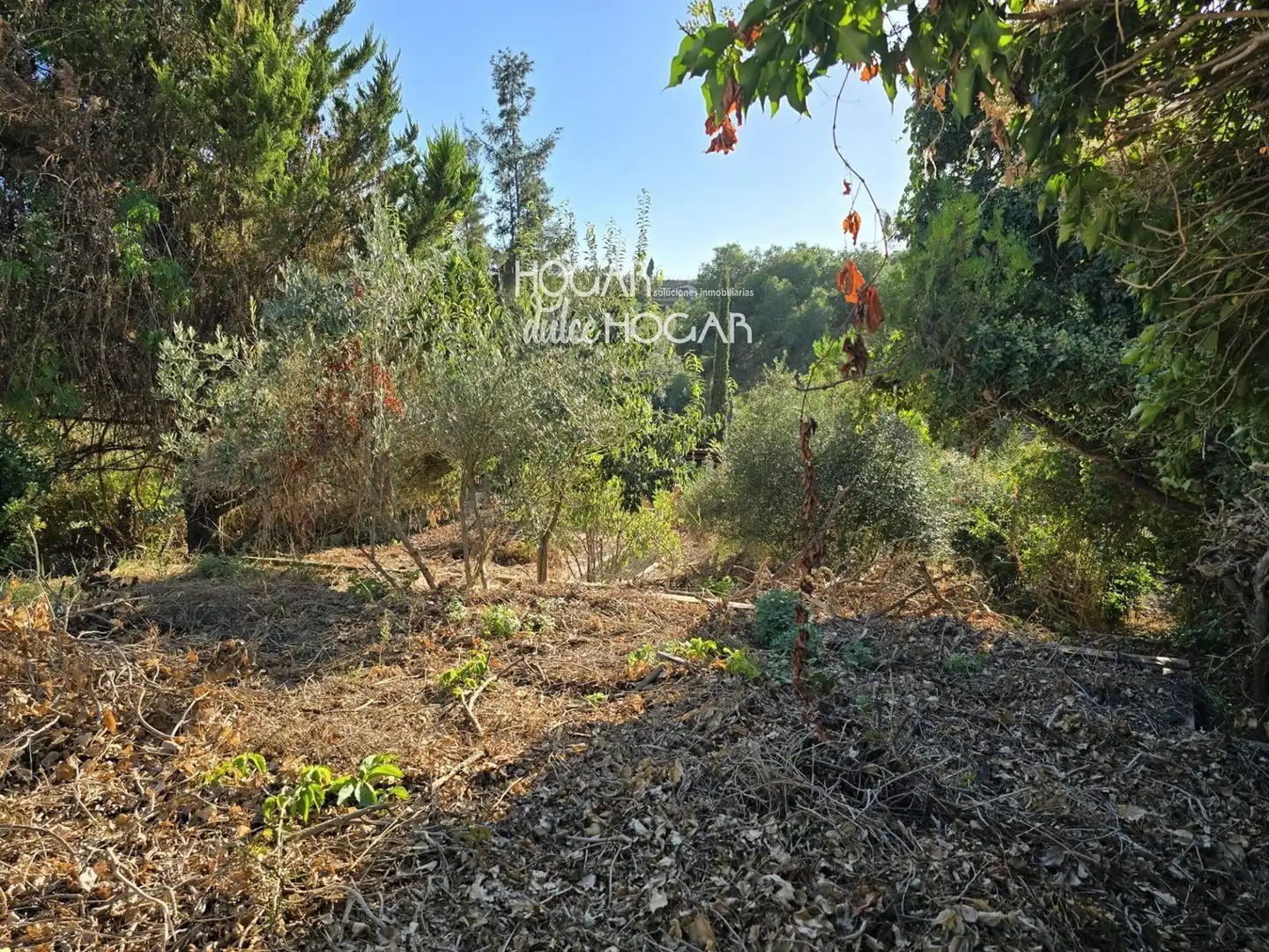 Terrain rustique à vendre à de la Morera, imagen 7