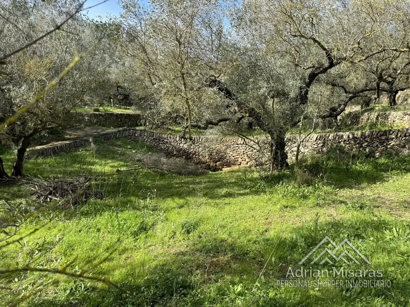 Terreno rústico en venta en L'Aldea, imagen 28