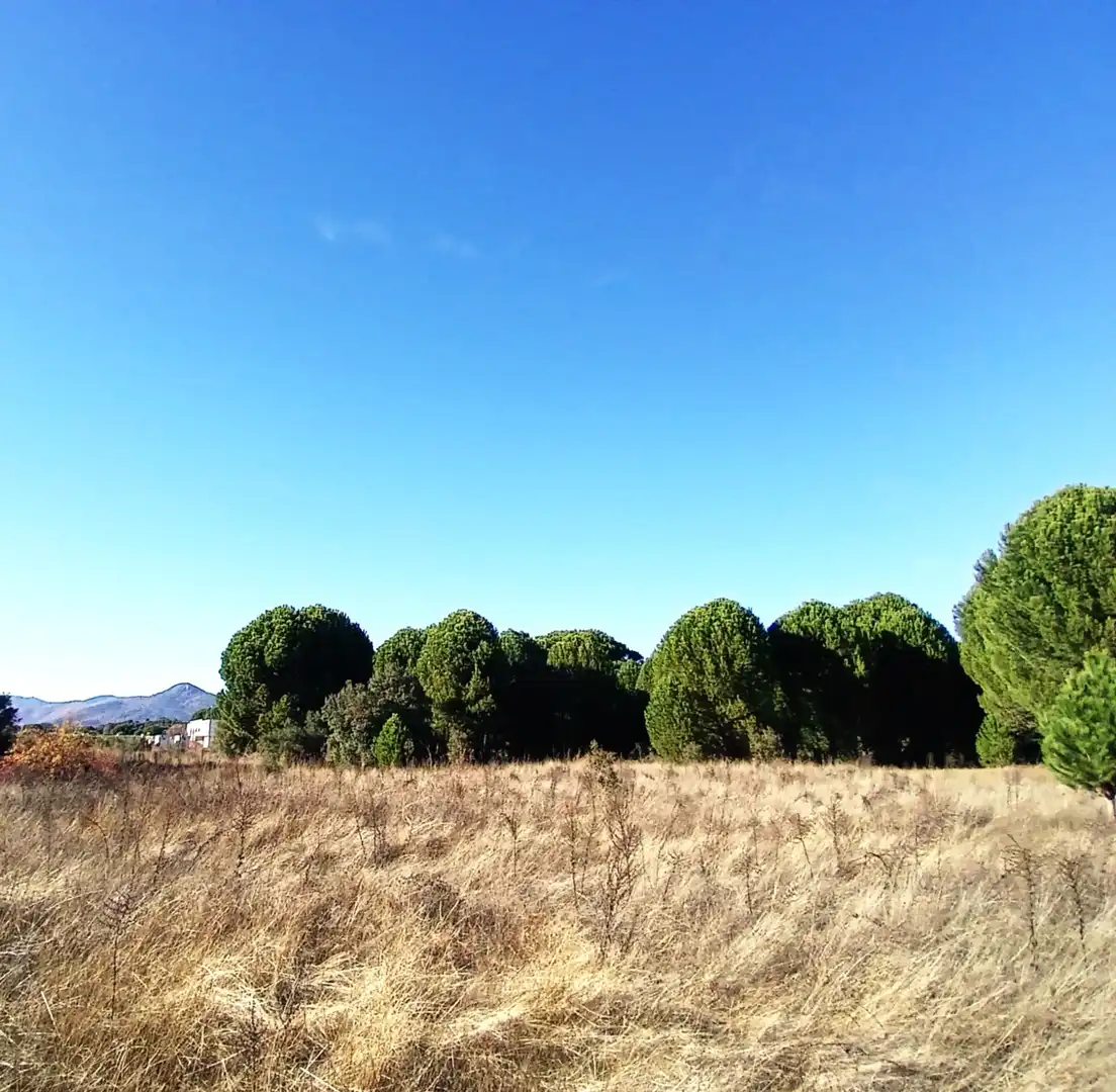 Rural land for sale in M-501, imagen 9