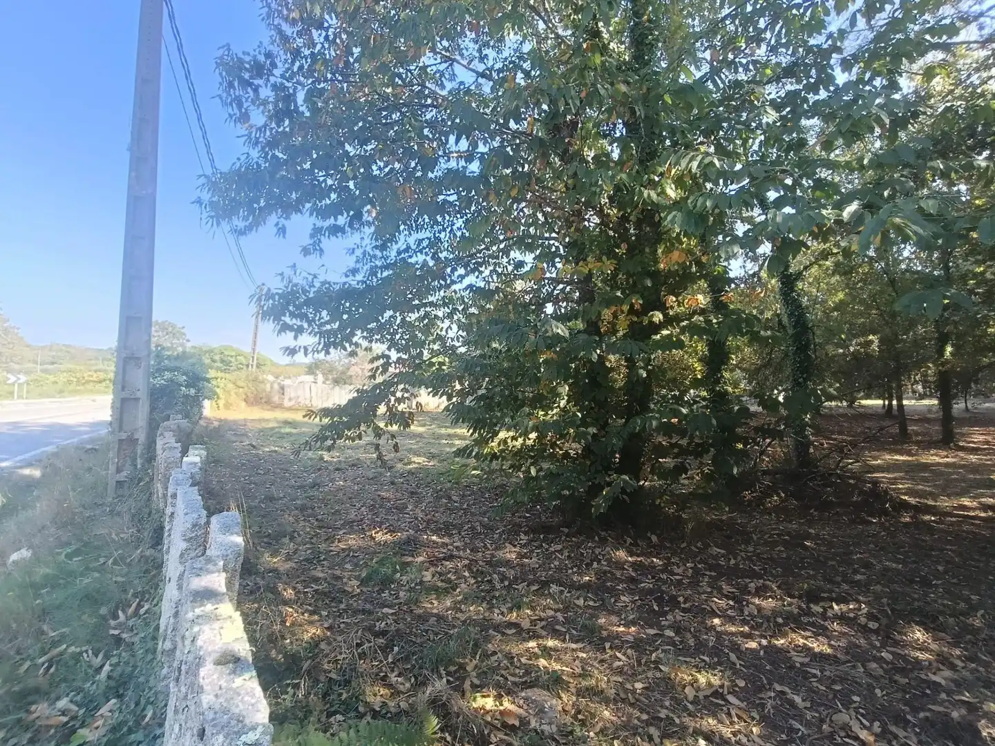 Terreno residencial en venta en Lugar As veigas, imagen 11