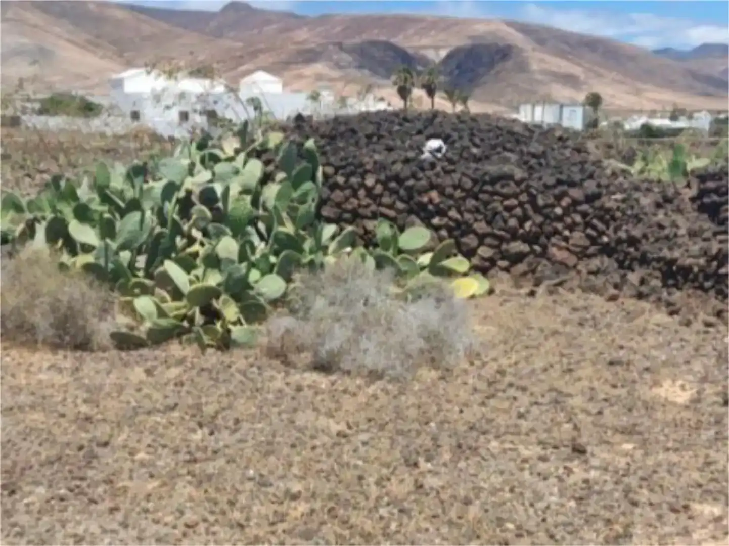 Vista exterior de Terreno en venta en Haría