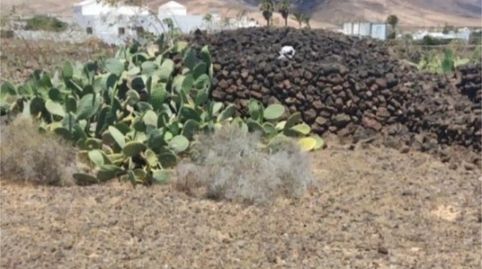 Foto 3 de Terreno en venta en Calle el Cercado, 2a, Mala, Haría