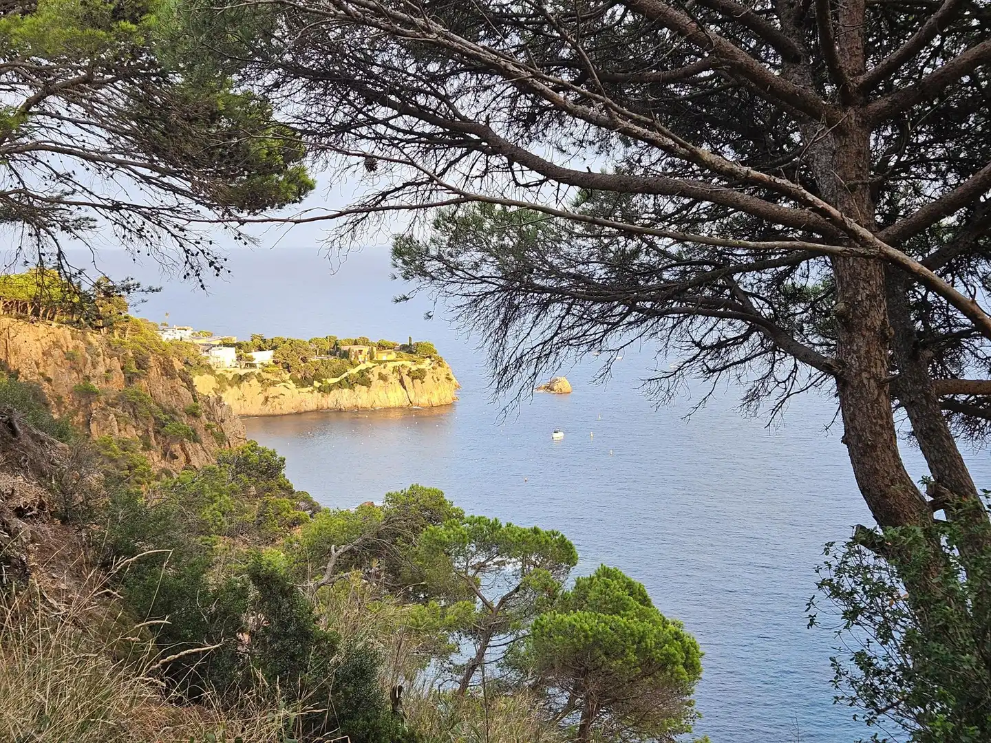 Detached homes for sale in Travessia Cami de les Penyes, Puntabrava - Port Salvi