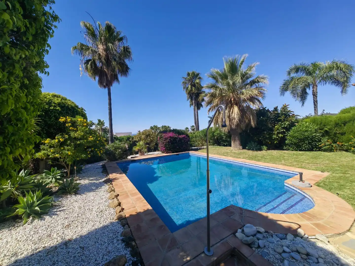 Piscina de Casa o xalet en venda en Estepona amb Aire condicionat, Jardí privat i Terrassa