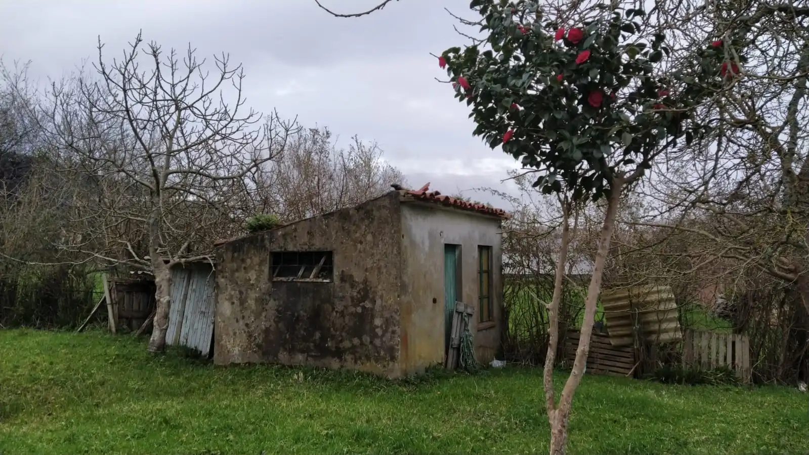 Terreni e lotti in vendita a Rúa Pérez Lugín 29, imagen 6