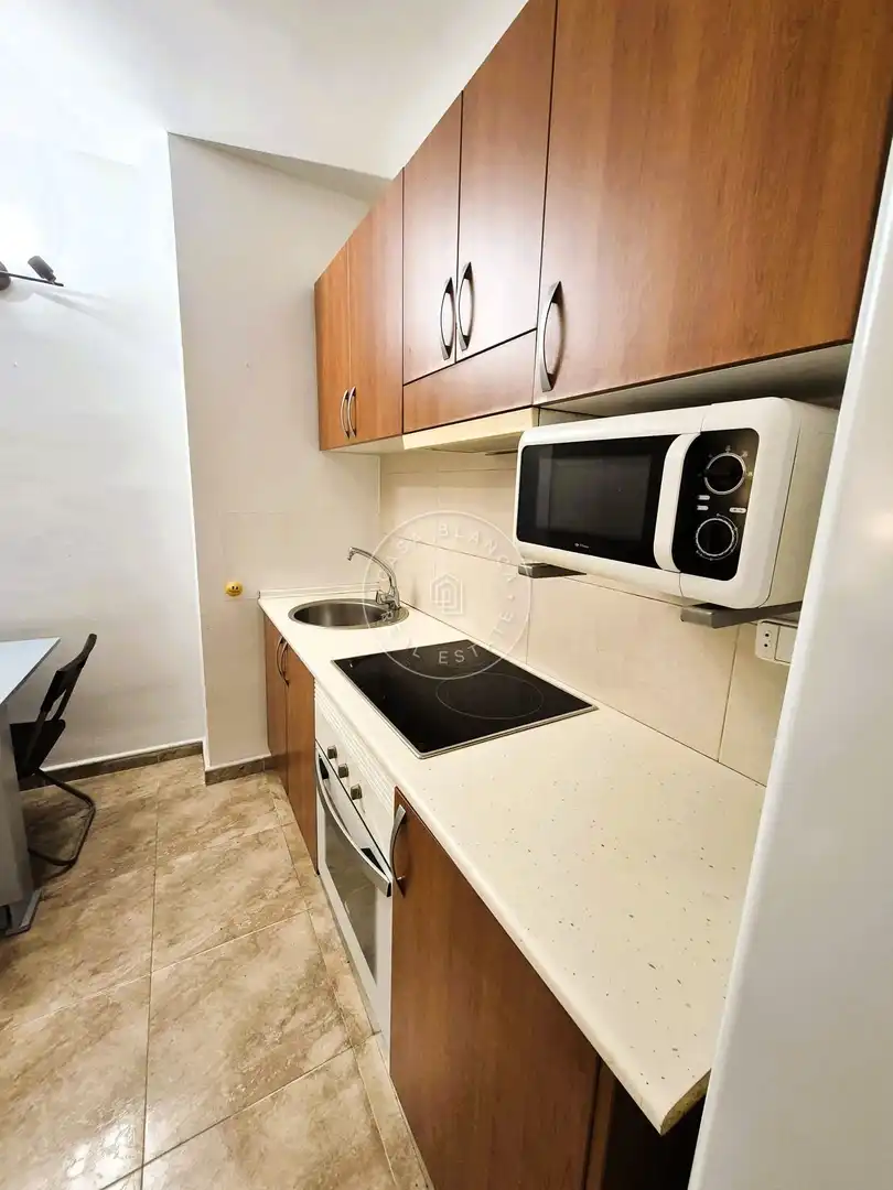 Apartamento con piscina en venta en Dr Fleming, imagen 5