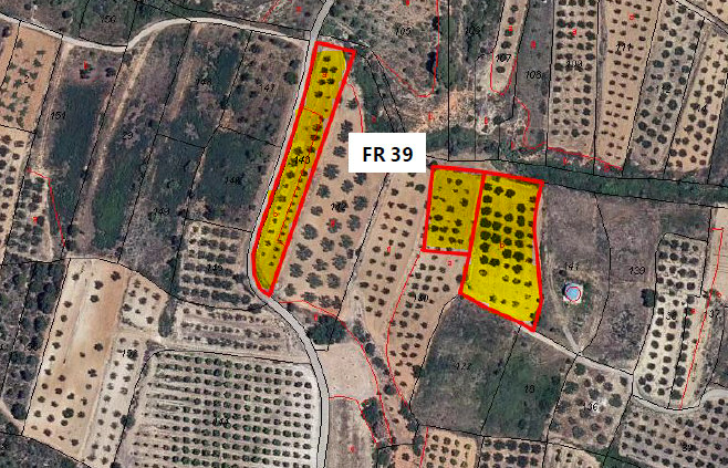 Land for sale in Pinet