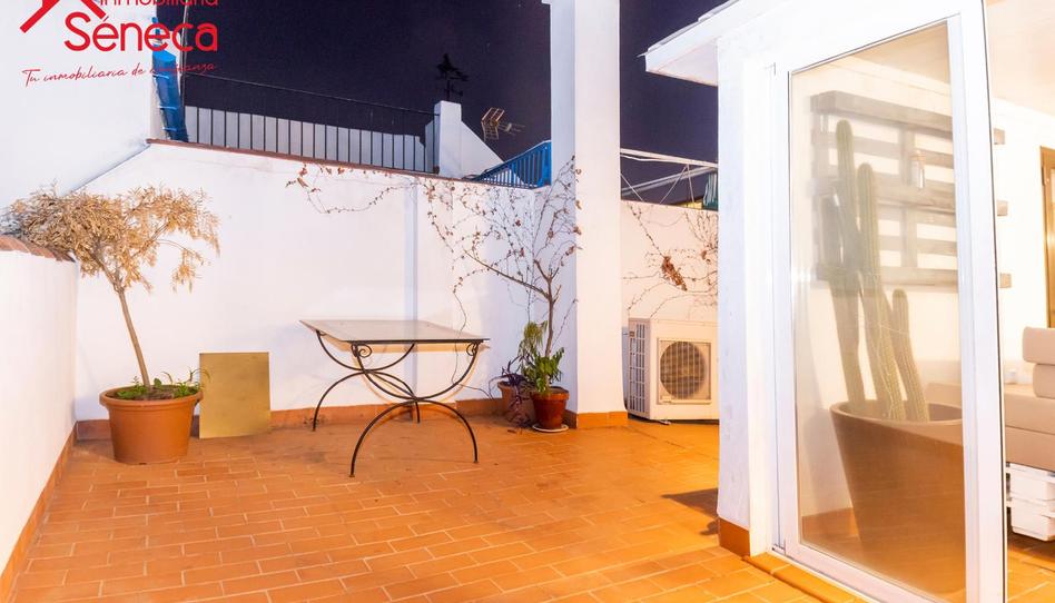 Photo 1 of House or chalet for sale in La Palma, Casco Histórico  - Ribera - San Basilio, Córdoba