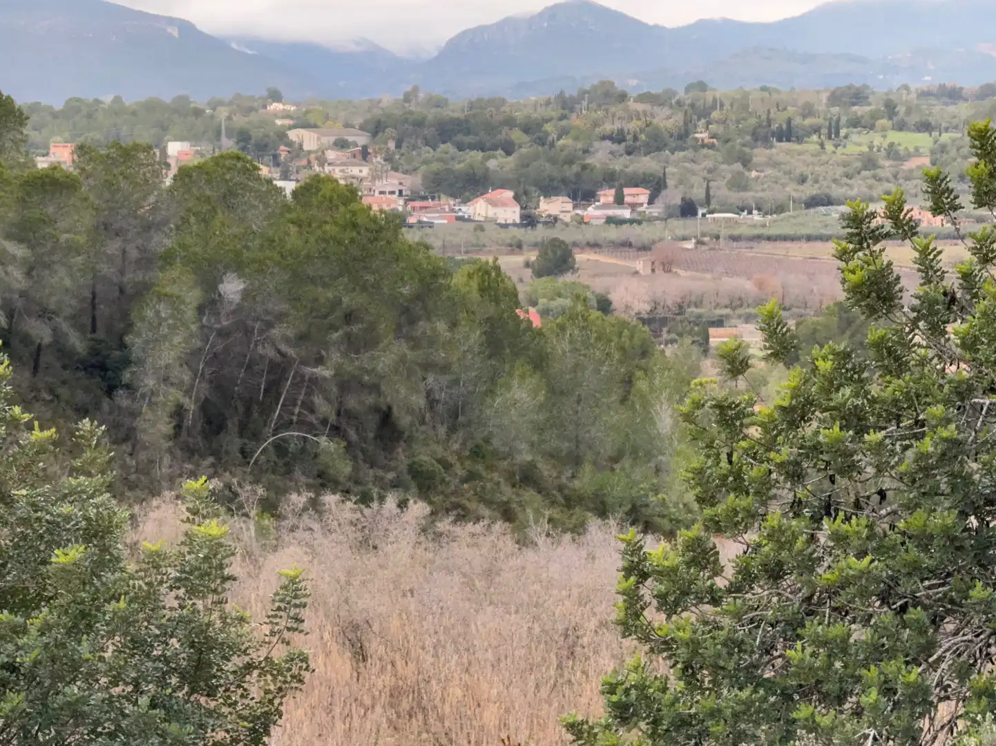 Terrain rustique à vendre à Carretera a la Maso 1G, imagen 13