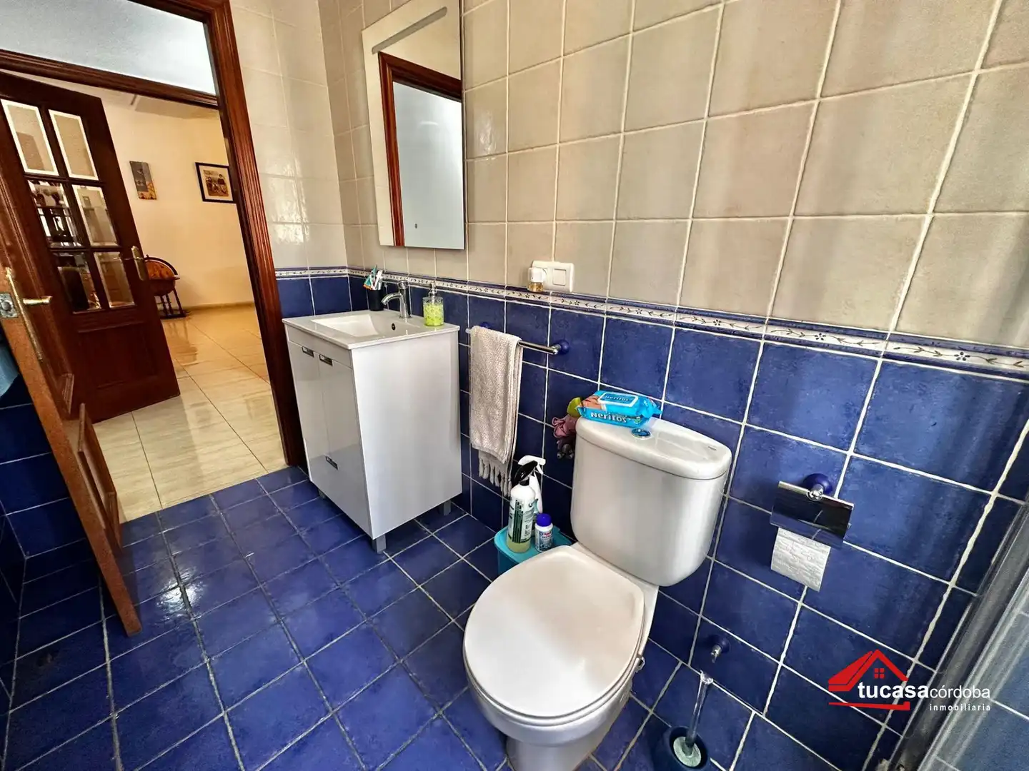Bany de Casa o xalet en venda en Córdoba amb Aire condicionat, Jardí privat i Piscina