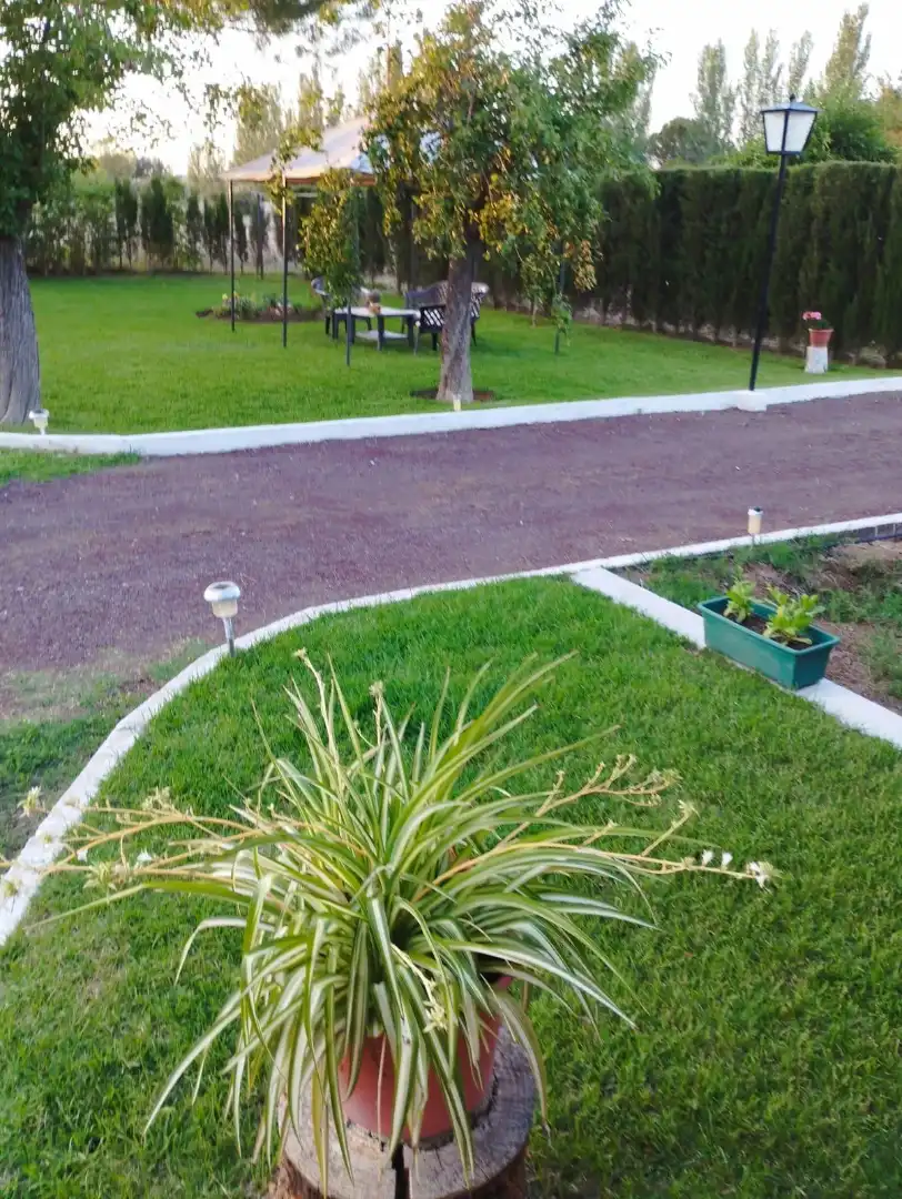 Jardí de Finca rústica en venda en Almodóvar del Campo amb Traster i Piscina