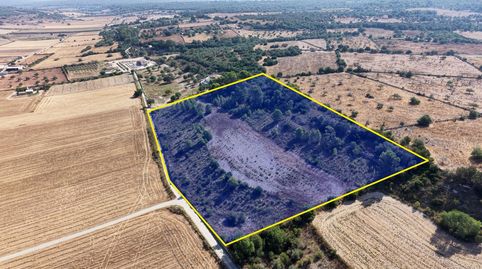 Terreno edificable de 29.547 m² con vistas despejadas en Petra, immagine 2