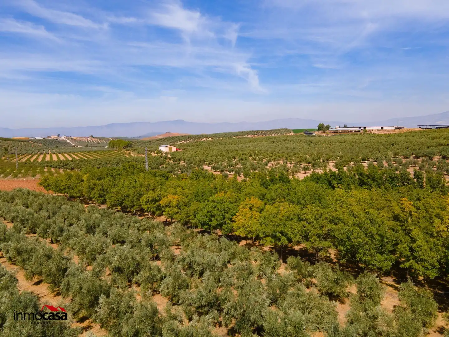 Chalet con piscina en venta en Moraleda de Zafayona, imagen 98