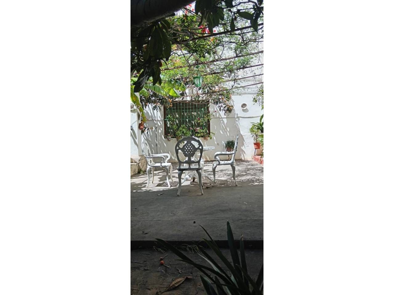 Garden of House or chalet for sale in Castellón de la Plana / Castelló de la Plana  with Private garden and Terrace