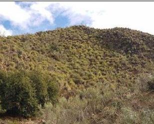 Exterior view of Land for sale in Albánchez