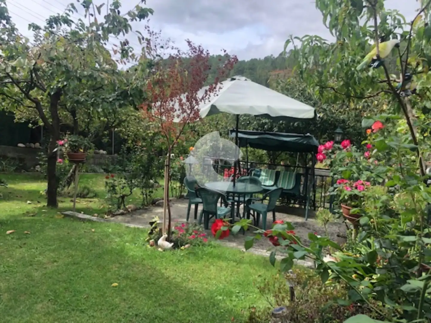 Jardín de Casa o chalet en venta en Lobios con Jardín privado