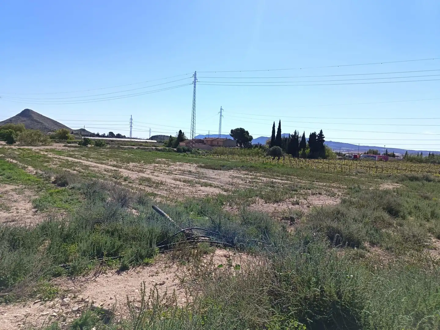 Rustikales Grundstück zum Verkauf in Monforte del Cid, imagen 5