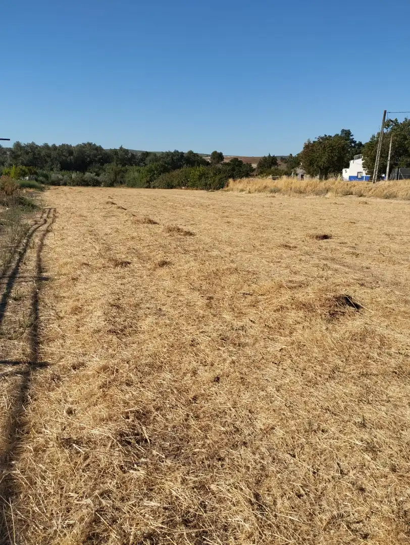 Country house for sale in Calle el Cerro, imagen 7