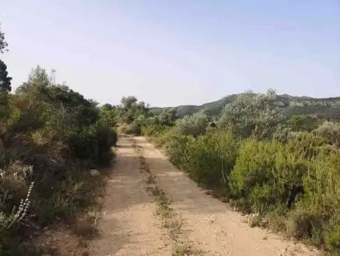 Rural land for sale in Partida Sacaras, imagen 6