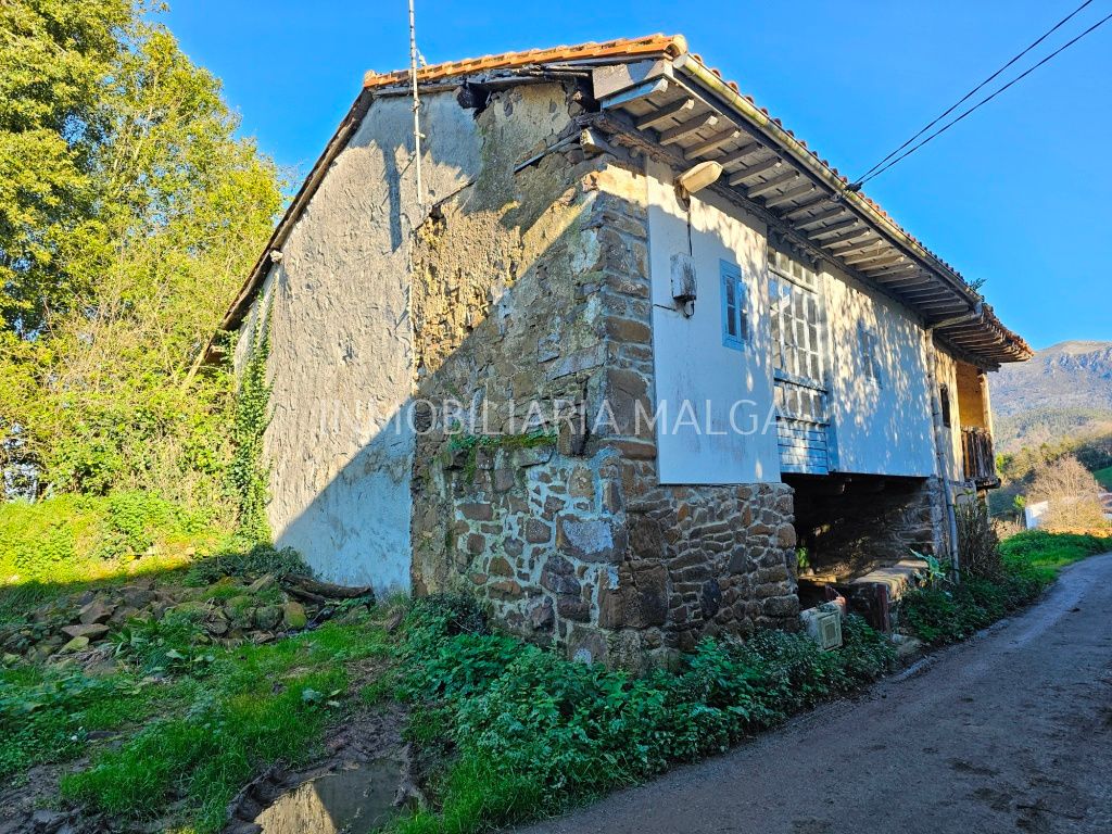 Vista exterior de Casa o chalet en venta en Colunga con Jardín privado