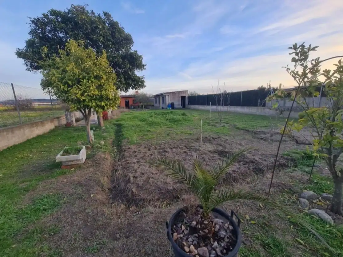 Terreno rústico en venta en Carretera Calera 1000, imagen 13