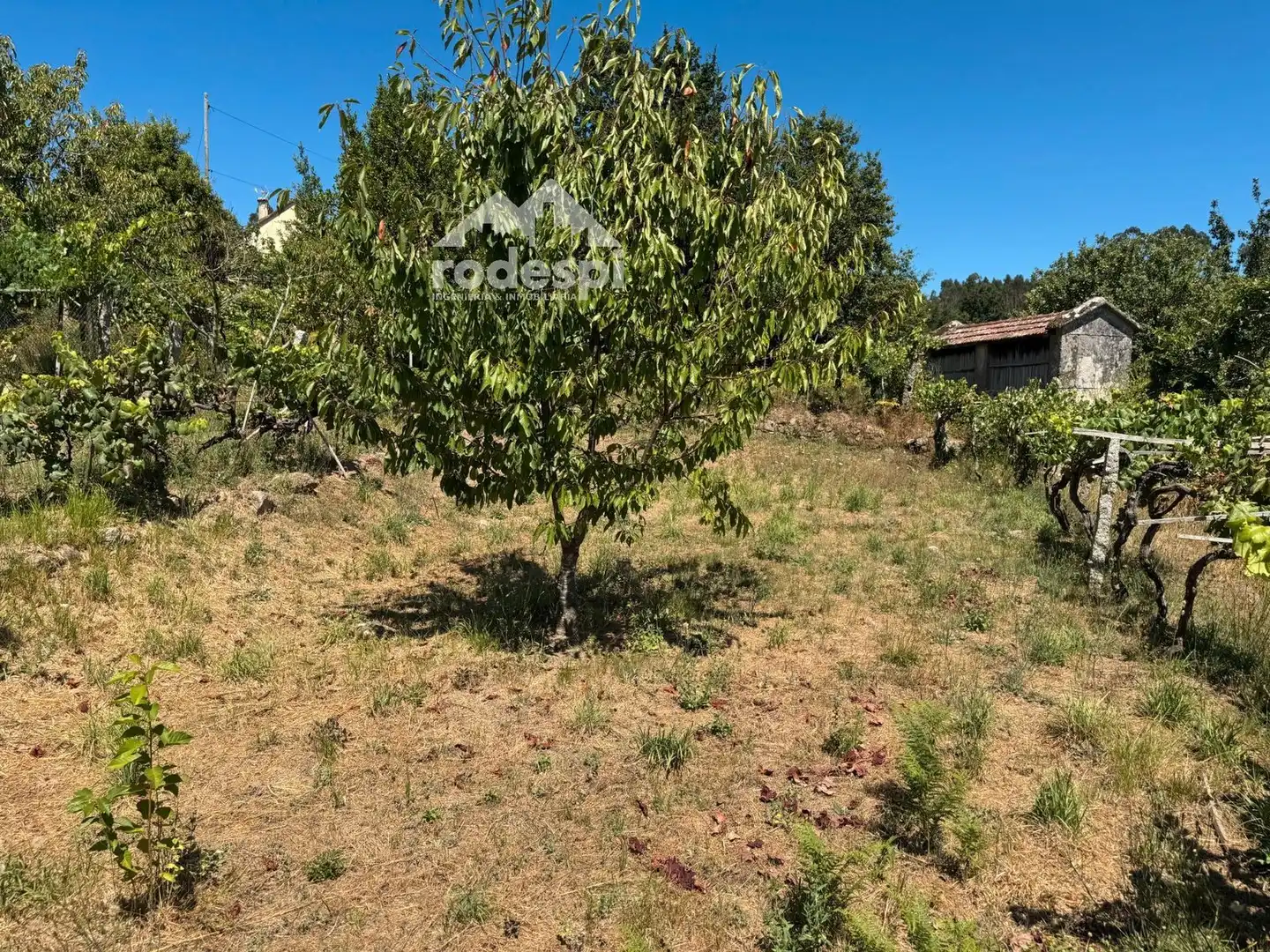 Maison à vendre à Crecente, imagen 19