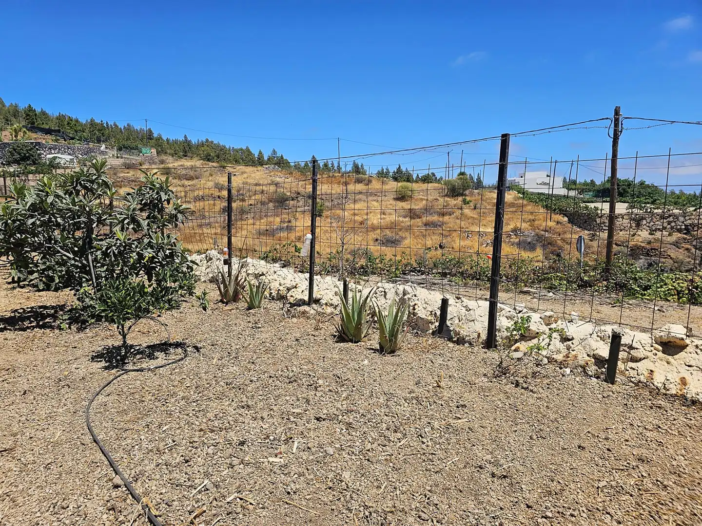 Finca rústica en venda en Granadilla de Abona